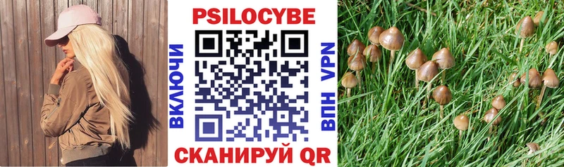 Купить закладки  Великий Устюг  Псилоцибиновые грибы прущие грибы 