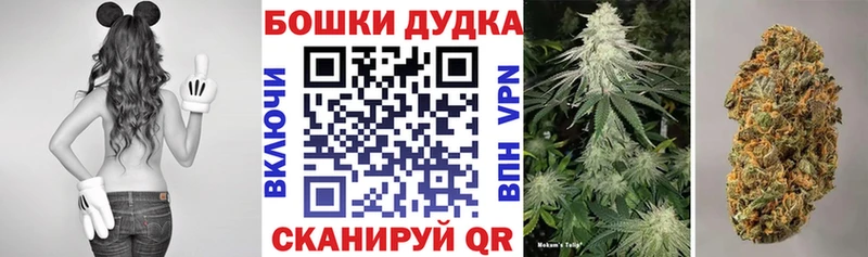 Бошки марихуана VHQ  Купить закладки  Великий Устюг 